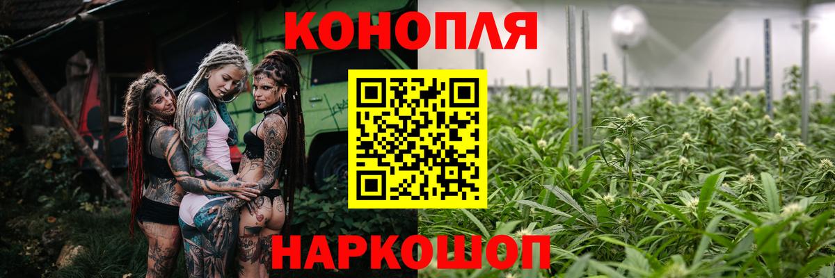 Каннабис ГИДРОПОН  Конопля тримм  Ульяновск  Шишки марихуана Ganja  Канабис сатива  Вход с VPN 